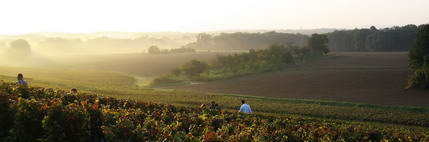 2007 Champagne Harvest